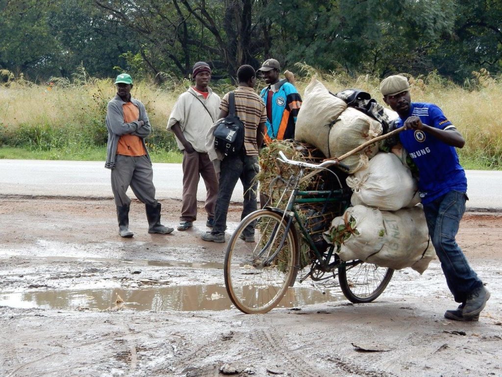 Crop Transport 1 (2)